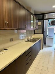 Tanglin Park (D10), Condominium #601995541